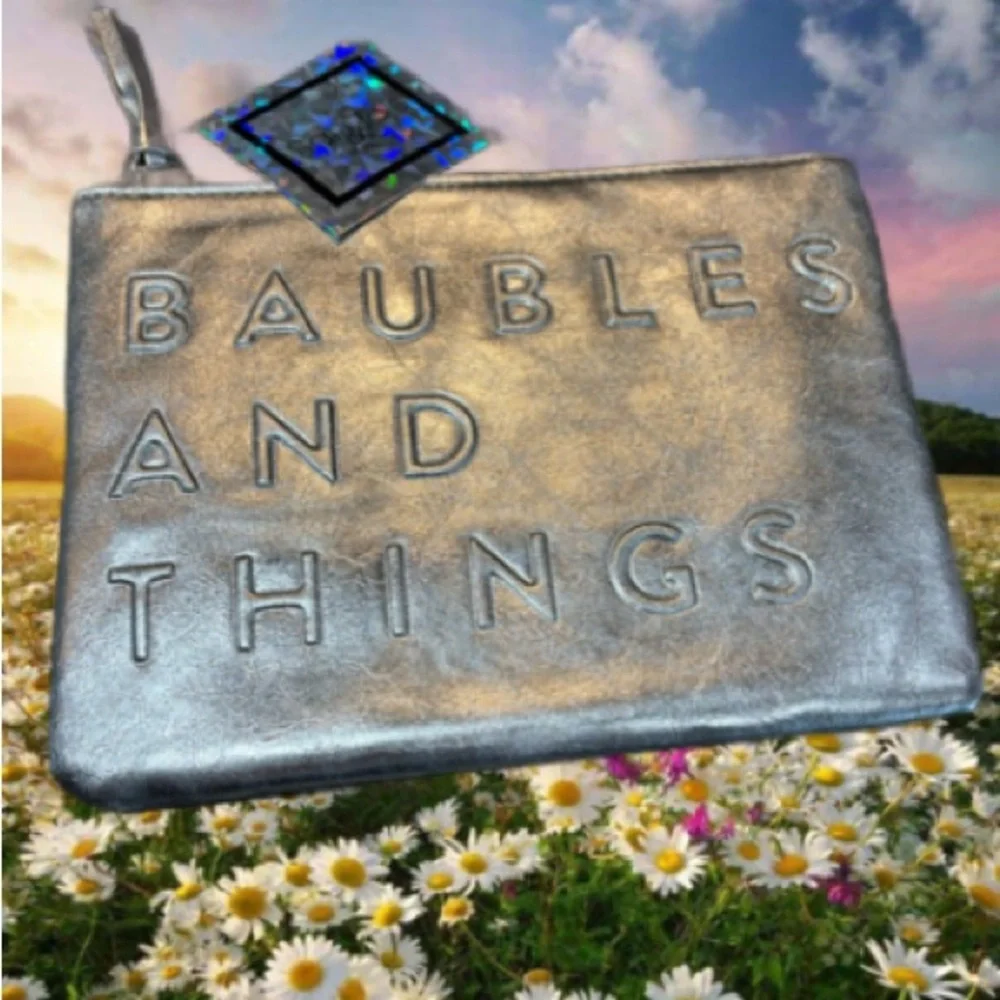 Silver Cosmetic Bag Baubles and Things. NWT